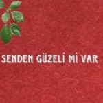 Emre Fel Senden Güzeli Mi Var şarkısı mp3 telefon zil sesi